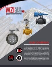 WZIFlowControlLtd.FamilyBrochure